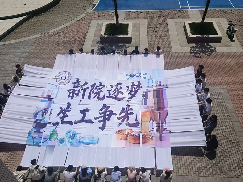 彩旗拼版运动会